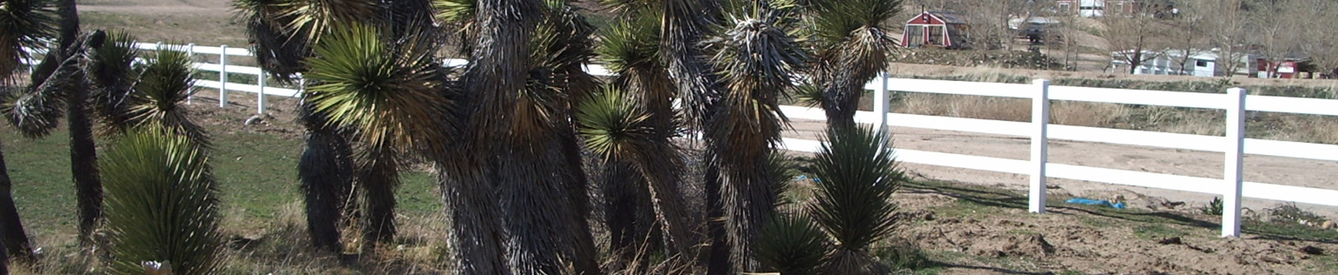 Daisy installed a Ranch Rail fence from Duramax to beautiful her yard and garden