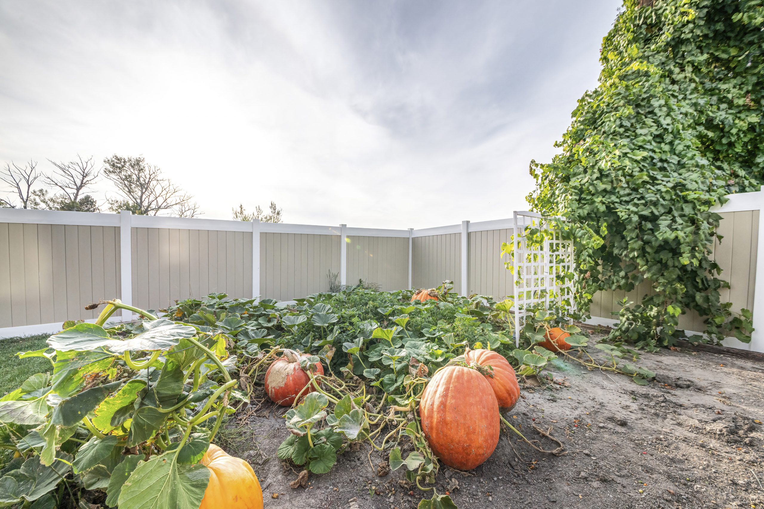 Vinyl Fence Estimation Made Simple With Vinyl Fence Calculator